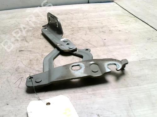 Used Hinge/Door check strap FORD FIESTA VI (CB1, CCN) 1.4 TDCi (68 hp) 25423533