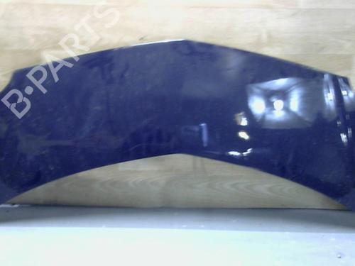 Cofano anteriore RENAULT MODUS / GRAND MODUS (F/JP0_) 1.2 (JP0S) (78 hp) 29393461