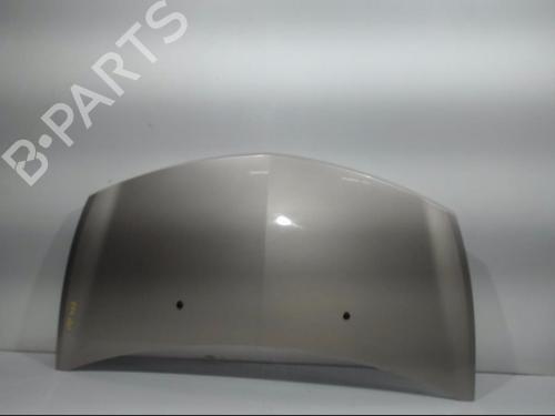 Used Hood RENAULT CLIO III (BR0/1, CR0/1) 1.5 dCi (C/BR0G, C/BR1G) (68 hp) 25408659