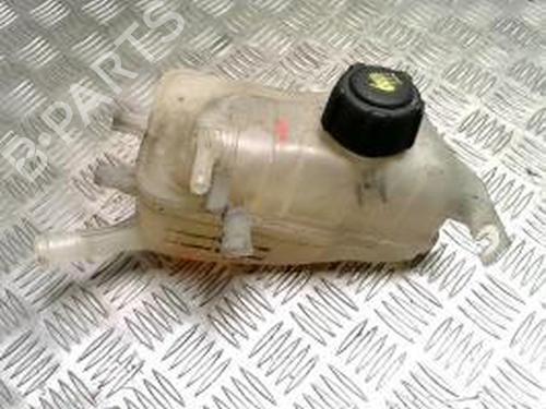 Used Expansion tank RENAULT SCÉNIC III (JZ0/1_) 1.6 dCi (JZ00, JZ12) (130 hp) 30809669