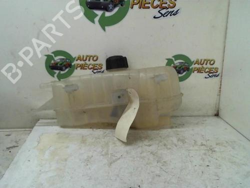 Used Expansion tank RENAULT CLIO III Grandtour (KR0/1_) 1.5 dCi (KR0F) (86 hp) 25401188