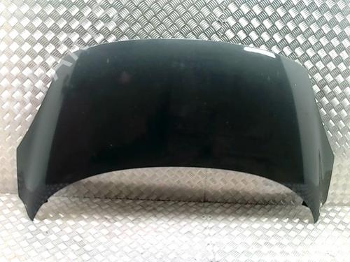 Capot Capot RENAULT SCÉNIC III (JZ0/1_) 1.6 dCi (JZ00, JZ12) (130 hp) 30554039 30554039
