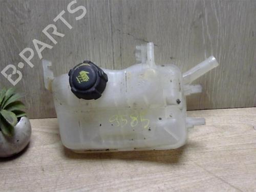 Used Expansion tank RENAULT MEGANE III Hatchback (BZ0/1_, B3_) 1.5 dCi (BZ09, BZ0D, BZ1W, BZ29, BZ14) (110 hp) 25412274