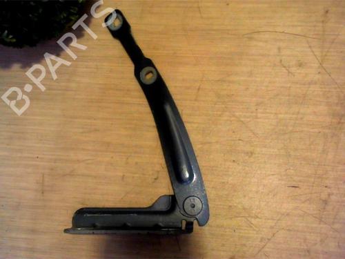 Hinge/Door check strap DACIA DOKKER MPV (KE_) 1.2 TCe (KEM0, KEAY) | BP25391113C146 