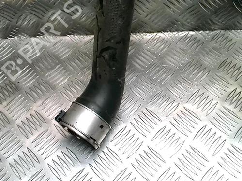 Pipe RENAULT SCÉNIC III (JZ0/1_) 1.6 dCi (JZ00, JZ12) | BP25431465M125