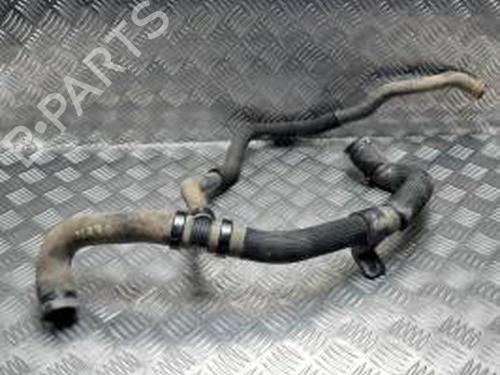 Used Pipe RENAULT KANGOO Express (FC0/1_) 1.5 dCi (FC1E) (68 hp) 25429343