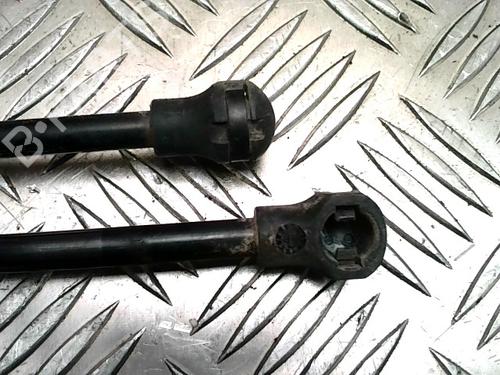 Tailgate lift support CITROËN C3 II (SC_) 1.4 HDi 70 (SC8HZC, SC8HR0, SC8HP4) | BP31223336C138