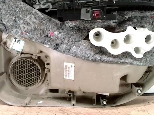 Front left panel RENAULT SCÉNIC III (JZ0/1_) 1.9 dCi (JZ0J, JZ1J, JZ1K, JZ1S) | BP25419539C58 