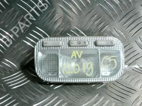 Plafonier CITROËN C5 III (RD_) 2.0 HDi 165 (RDRHHA, RDRHH8) (163 hp) 31224425