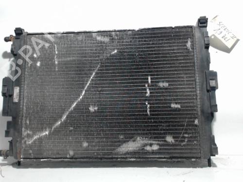 Used Water radiator RENAULT MEGANE II Coupé-Cabriolet (EM0/1_) 1.9 dCi (115 hp) 25408656
