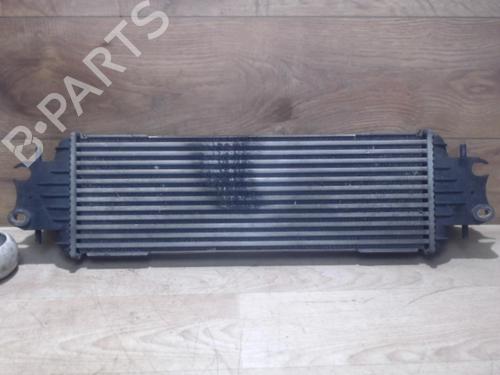 Intercooler RENAULT TRAFIC II Bus (JL) 1.9 dCI 100 (JL0C, JL0K) | BP25384767M30  - Image 8