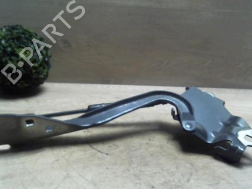 Used Hinge/Door check strap RENAULT SCÉNIC III (JZ0/1_) 1.5 dCi (110 hp) 31231789