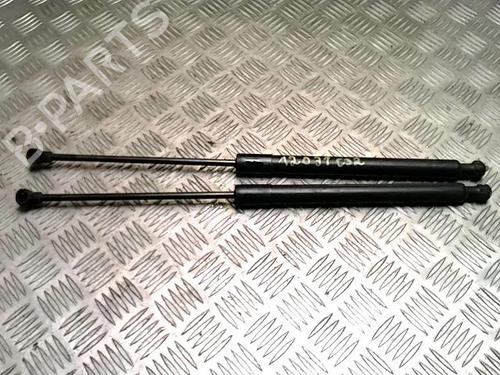 Used Tailgate lift support CITROËN C3 II (SC_) 1.6 HDi (92 hp) 31312144