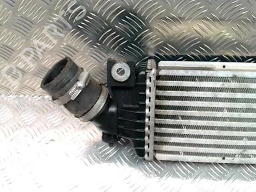 Intercooler NISSAN PRIMERA Hatchback (P12) 1.9 dCi | BP25429923M30 