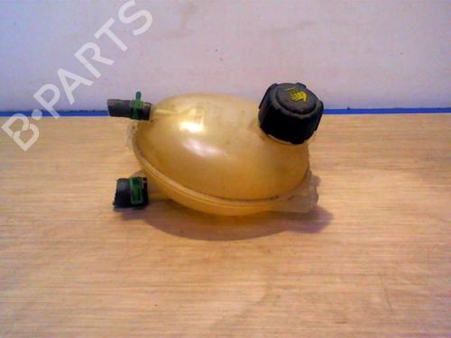 Used Expansion tank DACIA DOKKER MPV (KE_) 1.2 TCe (KEM0, KEAY) (115 hp) 25391695