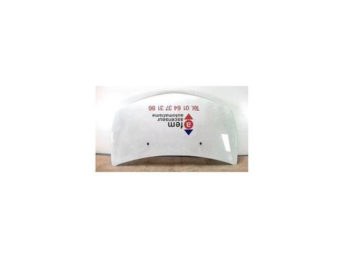 Used Hood RENAULT CLIO III (BR0/1, CR0/1) 1.5 dCi (75 hp) 25421422