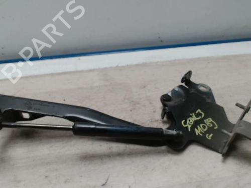 Used Hinge/Door check strap RENAULT SCÉNIC III (JZ0/1_) 1.9 dCi (JZ0J, JZ1J, JZ1K, JZ1S) (131 hp) 25420883