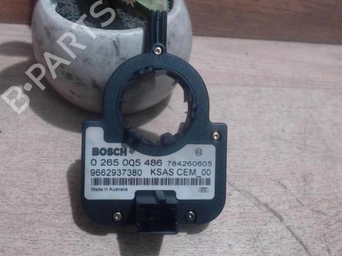 Elektronische sonde CITROËN C4 Picasso I MPV (UD_) 1.6 HDi | BP25414316M84 