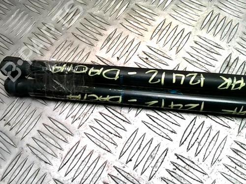 Tailgate lift support DACIA SANDERO 1.5 dCi | BP31225313C138