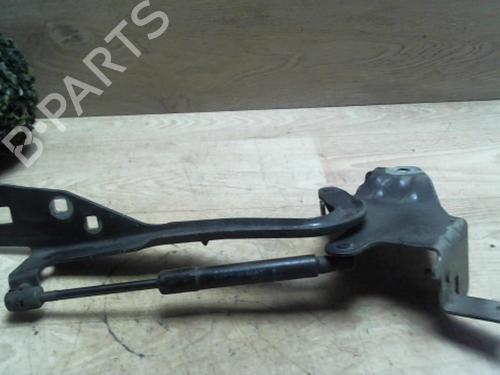 Used Hinge/Door check strap RENAULT SCÉNIC III (JZ0/1_) 1.5 dCi (110 hp) 31231790