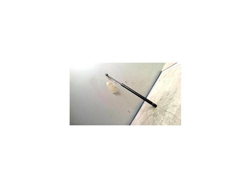 Used Hood lift support TOYOTA YARIS VERSO (_P2_) 1.4 D-4D (NLP20_, NLP22_) (75 hp) 25424504