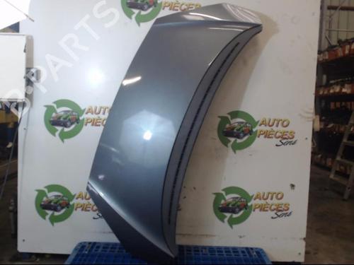 Capot PEUGEOT 1007 (KM_) 1.6 16V (109 hp) 25400902