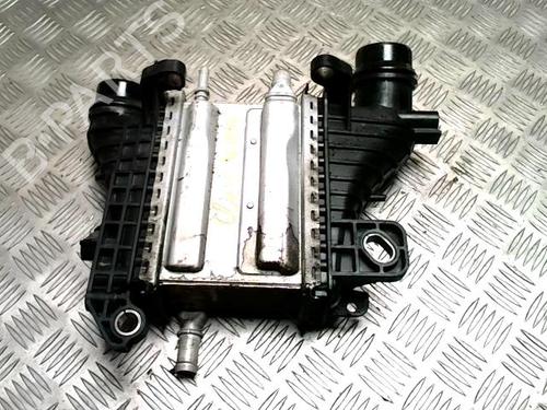 Intercooler RENAULT CLIO V (B7_) 1.5 Blue dCi 85 (B7AG) (86 hp) 31230053