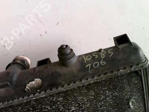 Water radiator PEUGEOT 206 SW (2E/K) 1.1 | BP25427665M31