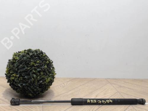 tailgate-lift-support-renault-megane-iii-hatchback-bz01_-b3_-2008-25388304 main image