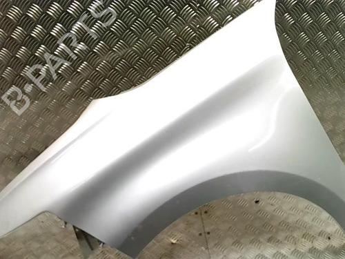 Left front fenders CITROËN C4 Picasso II 1.6 BlueHDi 120 | BP29687517C41 