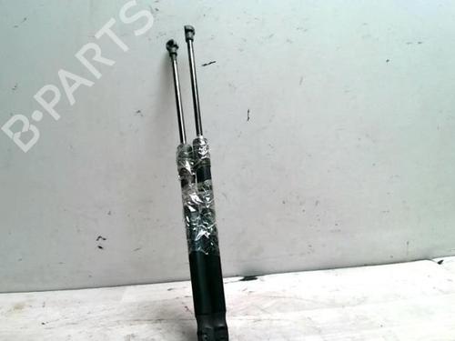 Tailgate lift support BMW 1 (E87) 116 d | BP25423394C138 