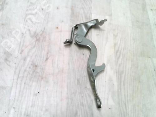 Hinge/Door check strap TOYOTA COROLLA Verso (ZER_, ZZE12_, R1_) 2.2 D-4D (AUR10_, AUR10R) | BP27671484C146 