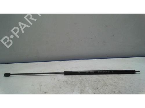 Used Hood lift support RENAULT MEGANE III Hatchback (BZ0/1_, B3_) 1.5 dCi (BZ09, BZ0D, BZ1W, BZ29, BZ14) (110 hp) 25419196