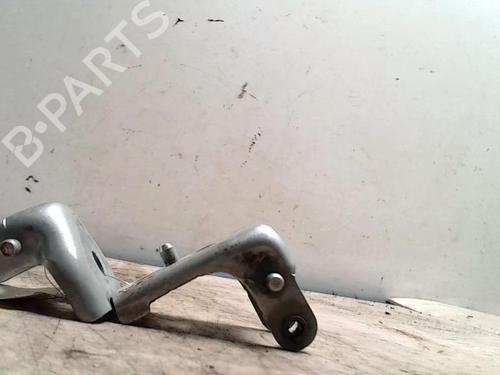 Used Hinge/Door check strap Hinge/Door check strap CITROËN C3 I (FC_, FN_) 1.4 16V (88 hp) 25423942 25423942
