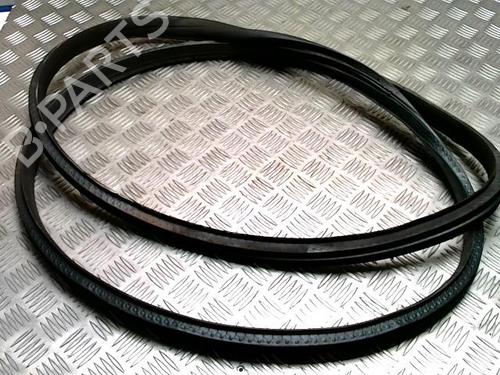 Guarnizione porta Guarnizione porta RENAULT CAPTUR II (HF_) E-TECH 145 (HFMU) (143 hp) 36644989 36644989