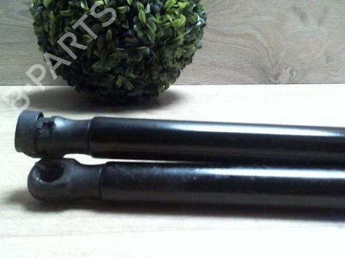 Tailgate lift support FORD FIESTA VI (CB1, CCN) 1.5 TDCi | BP25383189C138 