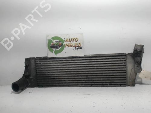 Used Intercooler RENAULT GRAND SCÉNIC II (JM0/1_) 1.9 dCi (JM0G, JM12, JM1G, JM2C) (120 hp) 25399857