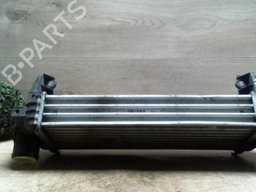 Intercooler FORD TRANSIT CONNECT (P65_, P70_, P80_) 1.8 TDCi (90 hp) 31226323