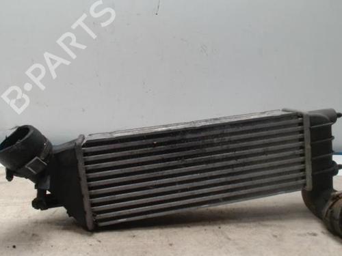 Intercooler CITROËN C8 (EA_, EB_) 2.0 HDi | BP28051447M30