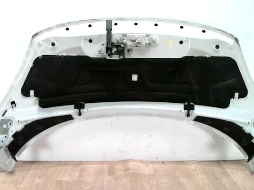 Used Hood RENAULT GRAND SCÉNIC III (JZ0/1_) 1.9 dCi (JZ0J, JZ0N, JZ1K, JZ1S) (131 hp) 28089687