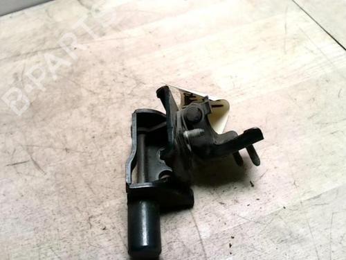 Hinge/Door check strap RENAULT CLIO III (BR0/1, CR0/1) 1.5 dCi (BR17, CR17) | BP25424383C146 