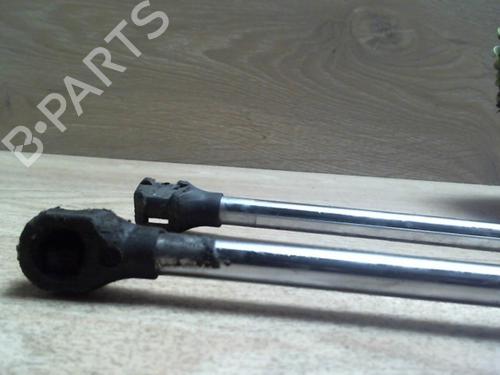 Tailgate lift support RENAULT ESPACE IV (JK0/1_) 2.2 dCi (JK0H) | BP31230130C138