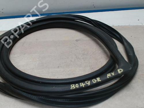 Gummiliste MITSUBISHI GRANDIS (NA_W) 2.0 DI-D (NA8W) (136 hp) 25421275