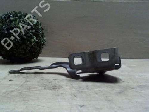 Hinge/Door check strap LANCIA MUSA (350_) 1.3 D Multijet (350.AXB11, 350.AXB1A) | BP25410098C146 