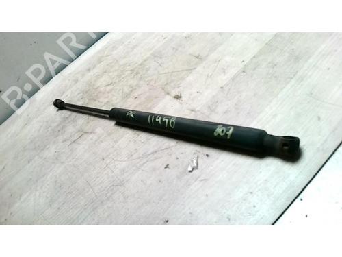 Used Tailgate lift support PEUGEOT 307 (3A/C) 1.6 HDi 110 (109 hp) 25423650