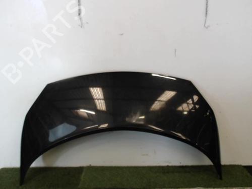 hood-renault-scenic-ii-jm01_-2003-2004-2005-2006-2007-2008-2009-2010-25397204 main image