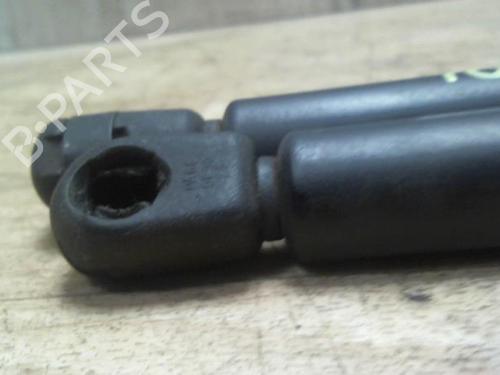 Tailgate lift support OPEL CORSA C (X01) 1.3 CDTI (F08, F68) | BP31227666C138