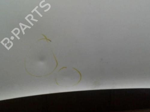 Hood RENAULT KANGOO Express (FW0/1_) 1.5 dCi 85 (FW0K, FW0L, FW0B) | BP29159712C1 