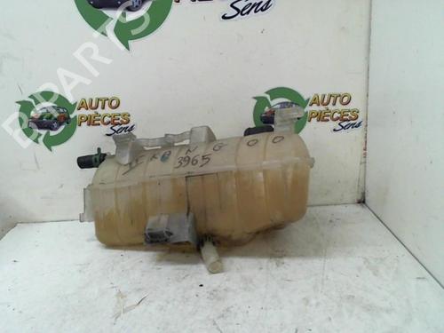 Used Expansion tank RENAULT KANGOO Express (FW0/1_) 1.5 dCi 85 (FW0K, FW0L, FW0B) (86 hp) 25401189