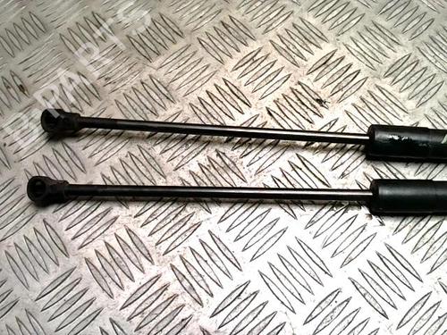 Tailgate lift support CITROËN C3 II (SC_) 1.6 HDi | BP31312144C138